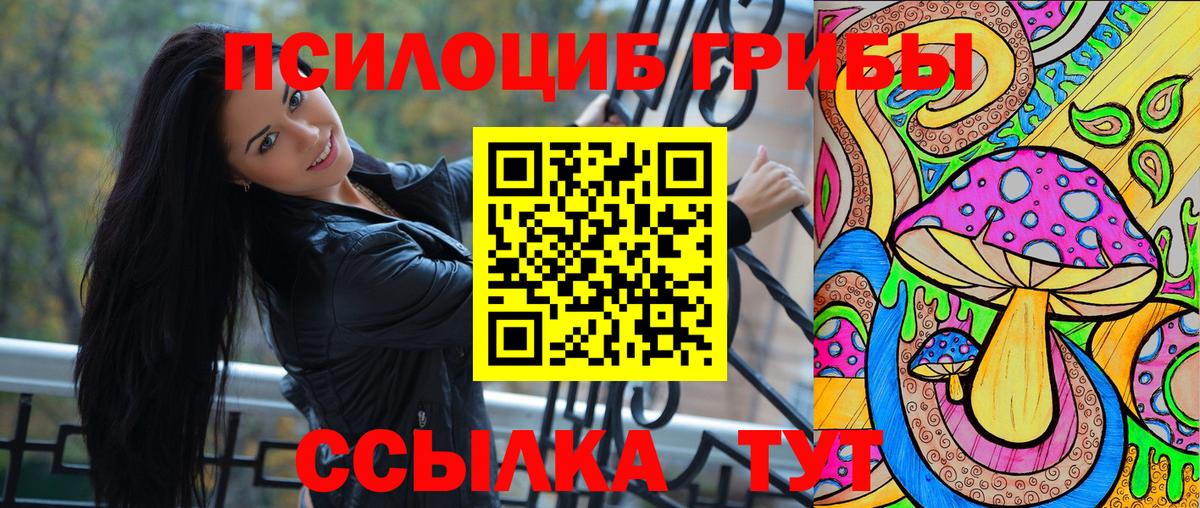 Галлюциногенные грибы Cubensis  Вход с VPN  Чехов 