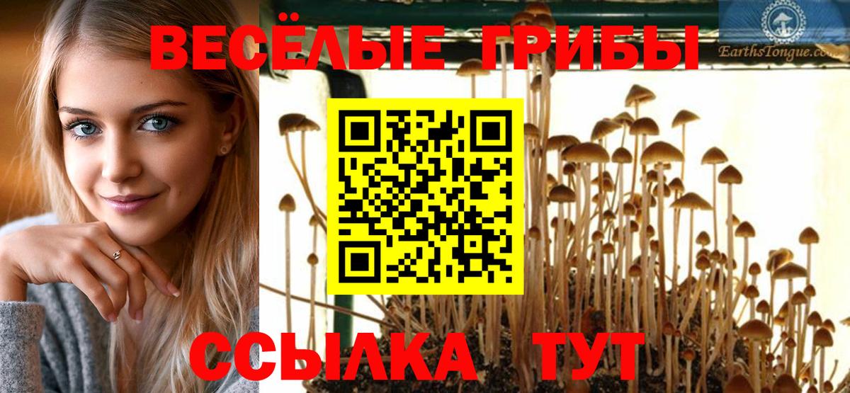 Галлюциногенные грибы Magic Shrooms Чехов